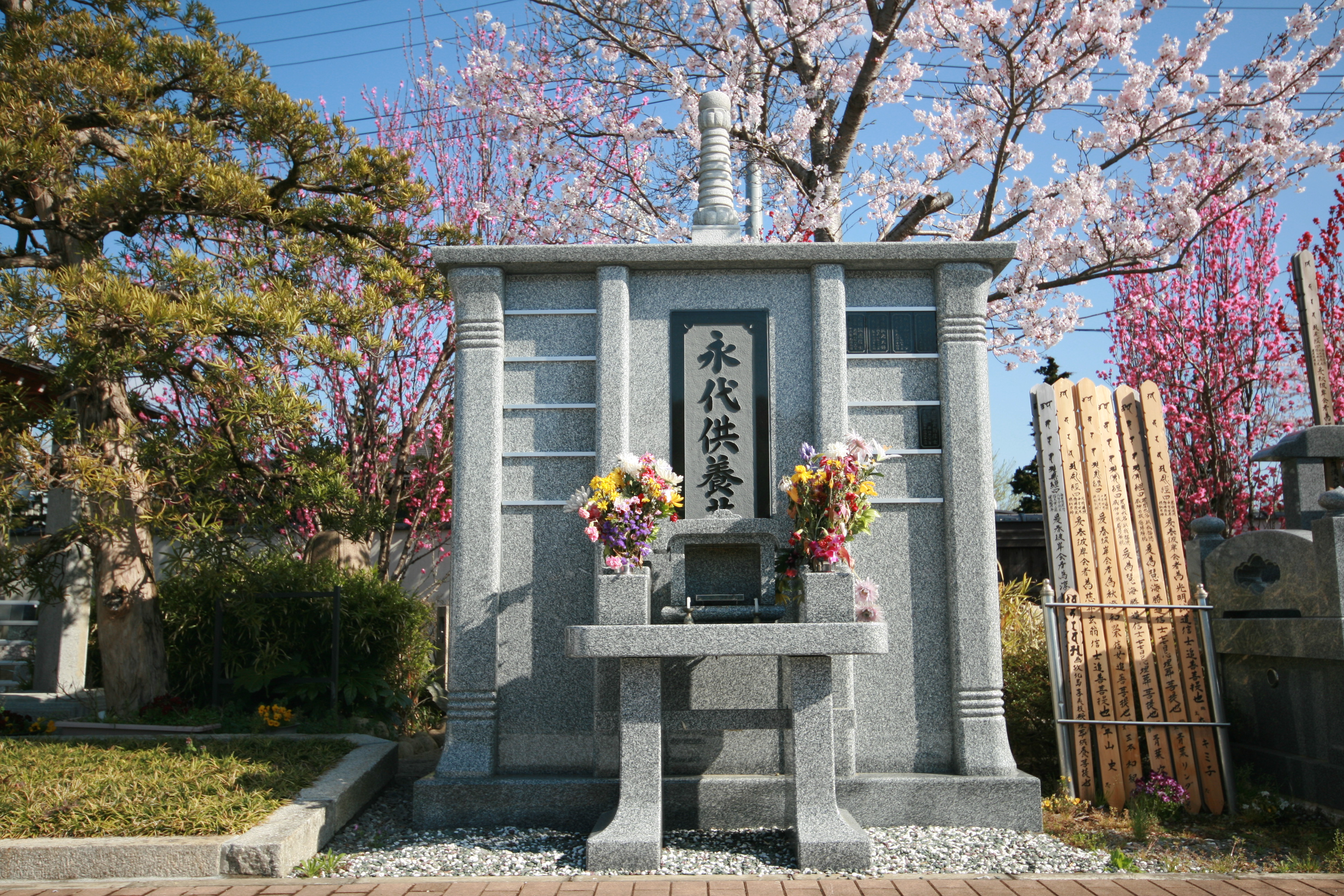 永代供養墓と春爛漫 桜の墓地